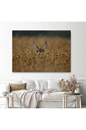 Ceylan Dekoratif Kanvas Tablo 1145