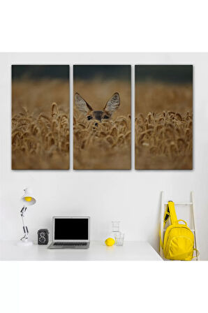 Ceylan Dekoratif Kanvas Tablo 1145