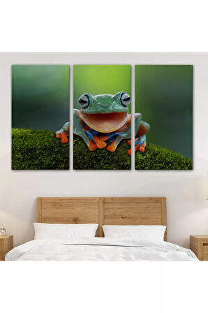 Renkli Gülen Kurbağa Dekoratif Kanvas Tablo 1149