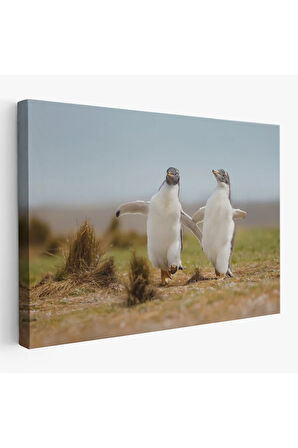 Mutlu Yavru Penguenler Dekoratif Kanvas Tablo 1152