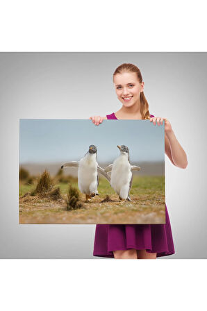 Mutlu Yavru Penguenler Dekoratif Kanvas Tablo 1152