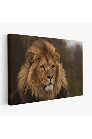 Aslan Dekoratif Kanvas Tablo 1159