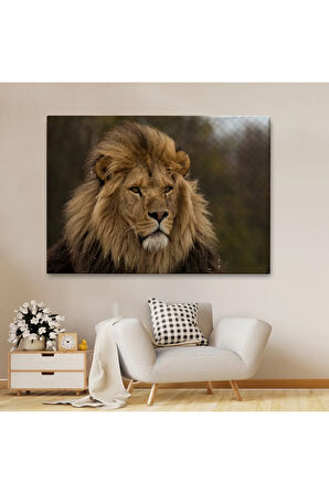 Aslan Dekoratif Kanvas Tablo 1159