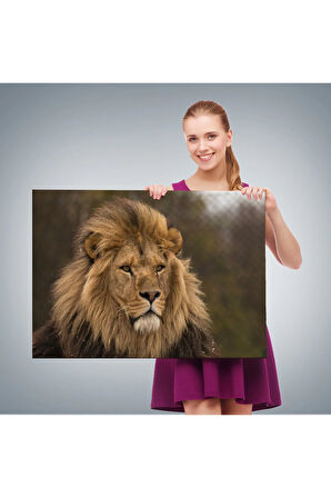 Aslan Dekoratif Kanvas Tablo 1159