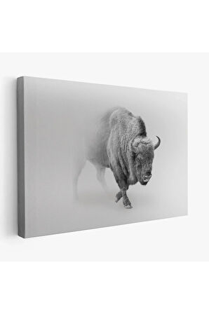 Bizon  Dekoratif Kanvas Tablo 1160