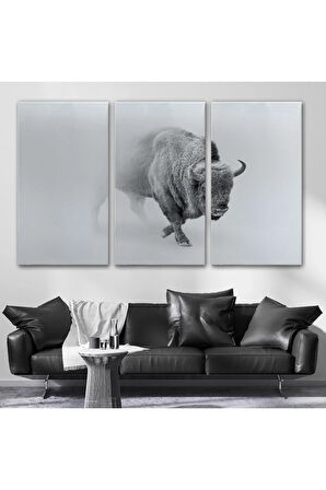 Bizon  Dekoratif Kanvas Tablo 1160
