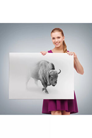 Bizon  Dekoratif Kanvas Tablo 1160