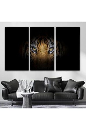 Kaplan Gözleri  Dekoratif Kanvas Tablo 1161