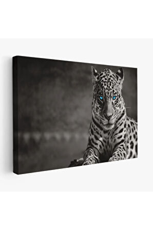 Mavi Gözlü Leopar Dekoratif Kanvas Tablo 1162