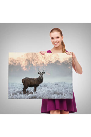 Geyik Dekoratif Kanvas Tablo 1166