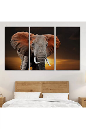 Fil Dekoratif Kanvas Tablo 1167