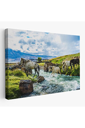 Dereden Geçen Atlar Manzaralı Dekoratif Kanvas Tablo 1169