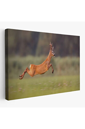Koşan Geyik Dekoratif Kanvas Tablo 1170
