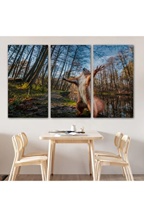 Sincap Dekoratif Kanvas Tablo 1178