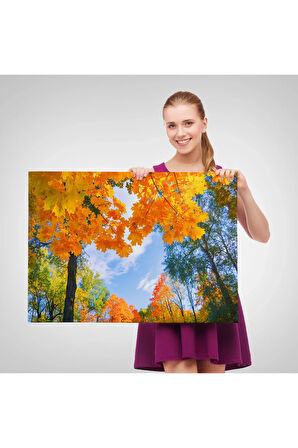 Sarı Yapraklı Sonbahar Manzarası Duvar Tablosu-1236