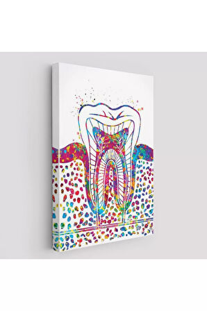 Renkli Diş, Diş Hekimi Duvar Tablosu-6300