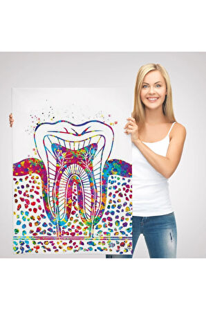 Renkli Diş, Diş Hekimi Duvar Tablosu-6300