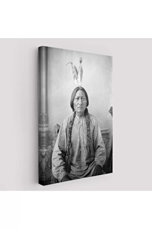 Oturan Boğa Tablosu, Amerikaya Karşı Savaşan Son Kızılderili Kabile Şefi, Sitting Bull-6416