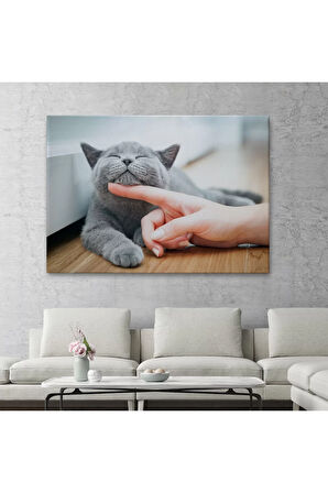 Sevimli Kedi Dekoratif Kanvas Tablo-6505