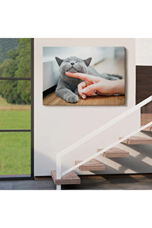 Sevimli Kedi Dekoratif Kanvas Tablo-6505