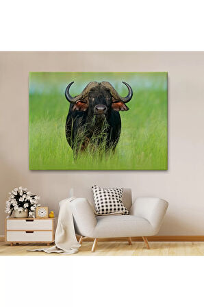 Asya Mandası Duvar Tablosu-6511