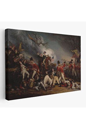 Princeton Savaşı'nda General Mercer'in Ölümü Tablo- -6548