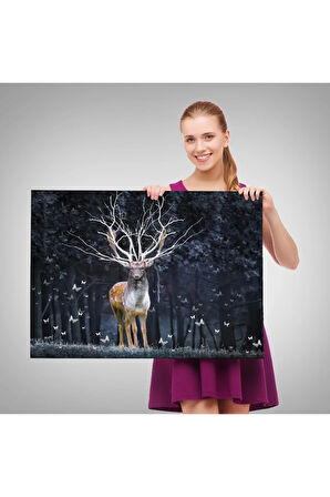 Renkli Dişler İmplant Diş Hekimi Tablo-6565