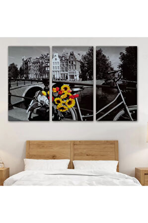 Amsterdam Kanallarındaki Bisiklet Ve Laleler Tablosu-6594