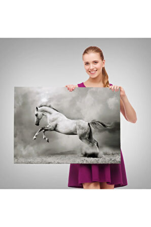 Kırmızı Klasik Araba Tablosu-6597