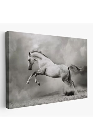 Çöldeki  Beyaz At Tablosu-6598