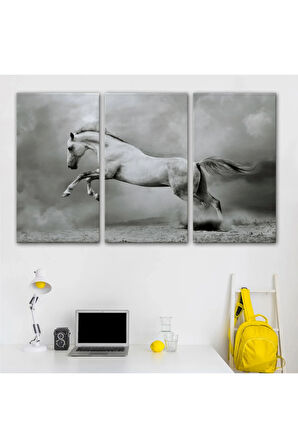 Çöldeki  Beyaz At Tablosu-6598