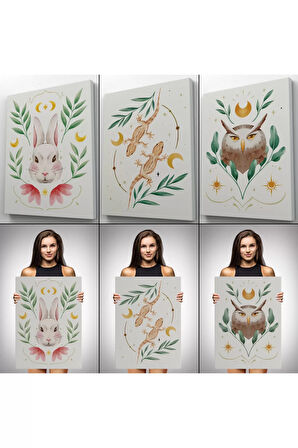 3’lü Tablo Vahşi Hayvanlar Temalı Dekoratif Duvar Tablo Seti-bn-38