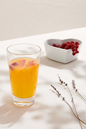 Orleans Meşrubat Bardağı