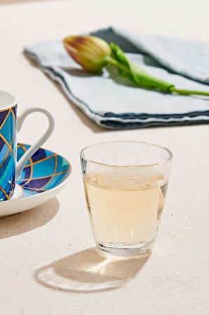 Elips Likör Bardağı