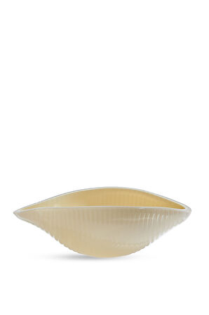 Pasta Çerezlik Opal Krem