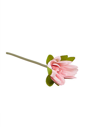 Lotus 22 cm Pembe