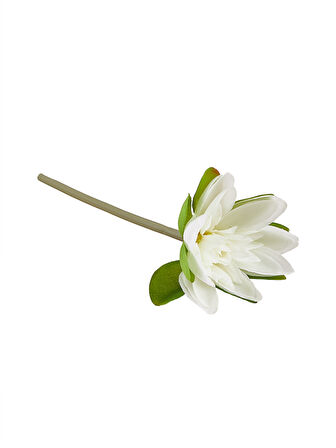 Beyaz Lotus 22 cm