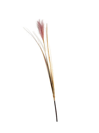 Bulrush 119 cm Mor