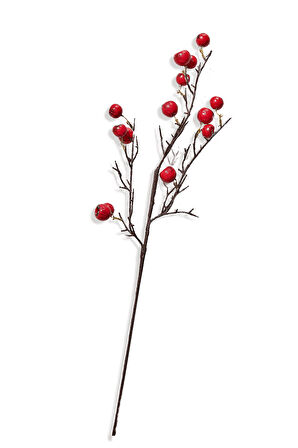 Fruit 68 cm Kırmızı