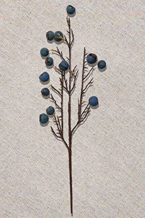 Fruit 68 cm Mavi