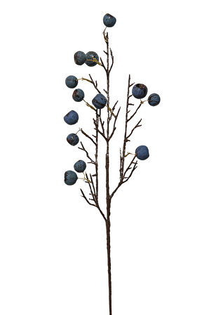 Fruit 68 cm Mavi