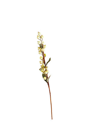 Fruit 83 cm Krem