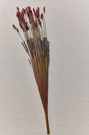 Grass 75 cm Kırmızı