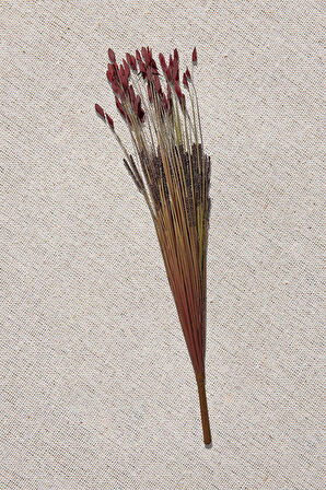 Grass 75 cm Kırmızı