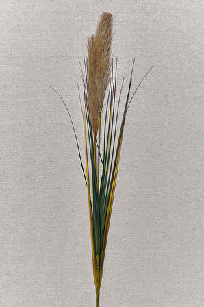 Grass 92 cm Kahverengi