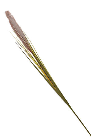 Grass 92 cm Kahverengi