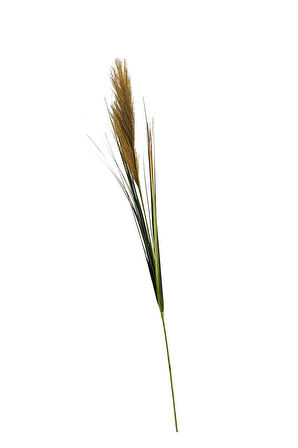 Yeşil Grass 92 cm