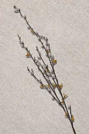 Yeşil Grass 92 cm