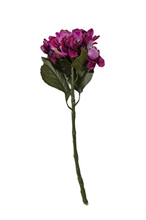 Ortanca 50 cm Mor