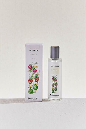 Kolonya Yaz Serisi 3'lü Set